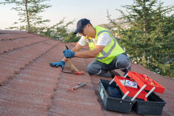 Hot Roofs